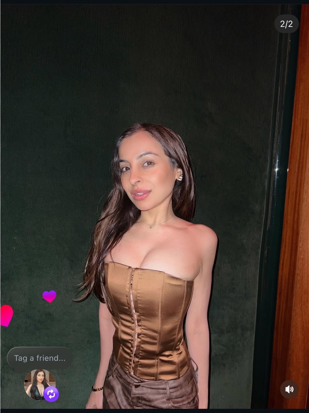 Danielle guizio corset